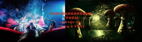 ПСИЛОЦИБИНОВЫЕ ГРИБЫ Пересвет