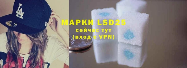 ПСИЛОЦИБИНОВЫЕ ГРИБЫ Пересвет